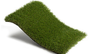 Royal Grass Bloom