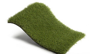 Royal Grass Blossom