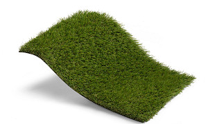 Royal Grass Sense